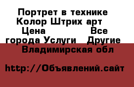 Портрет в технике “Колор-Штрих-арт“ › Цена ­ 250-350 - Все города Услуги » Другие   . Владимирская обл.